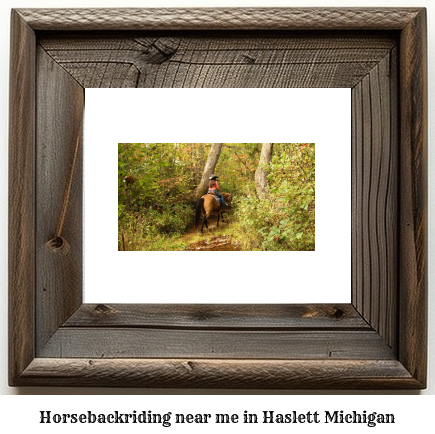 horseback riding near me in Haslett, Michigan